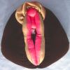 Vulva Puppet - Image 5