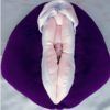 Vulva Puppet - Image 7